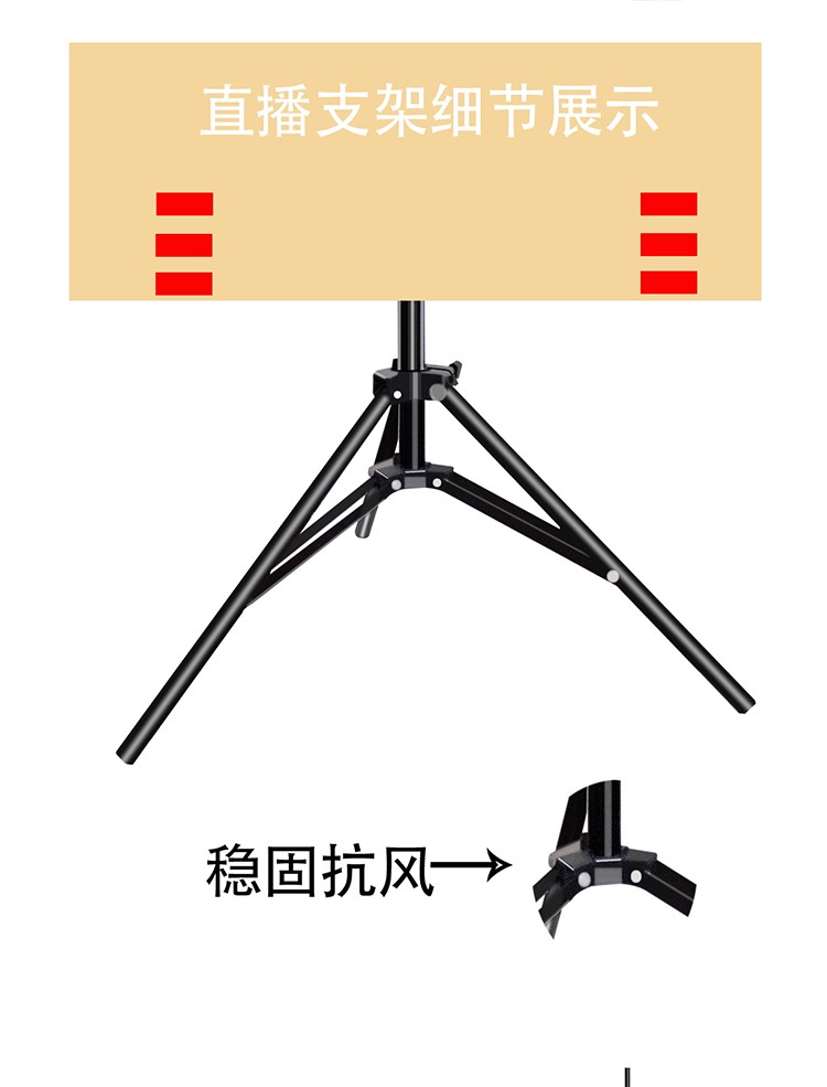 A complete set of 10-inch (26 cm) live-streaming beauty lamps detail image 9