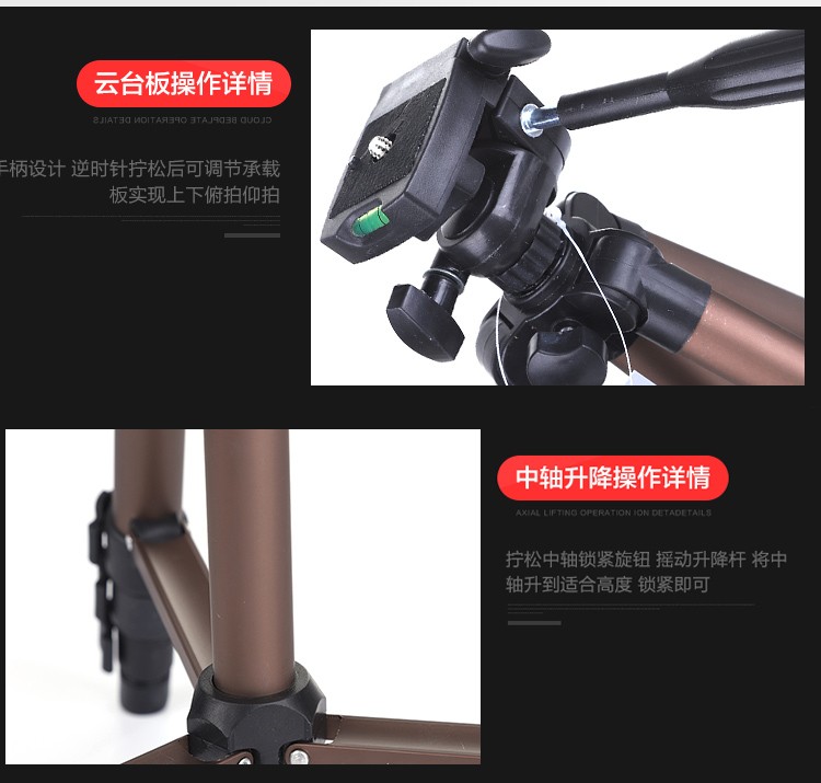 Weifeng 3130 [Four-section Aluminum Tube] Tripod Camera, Fishing Light Stand, Douyin Live Streaming Stand, wholesale Photography equipment detail image 2