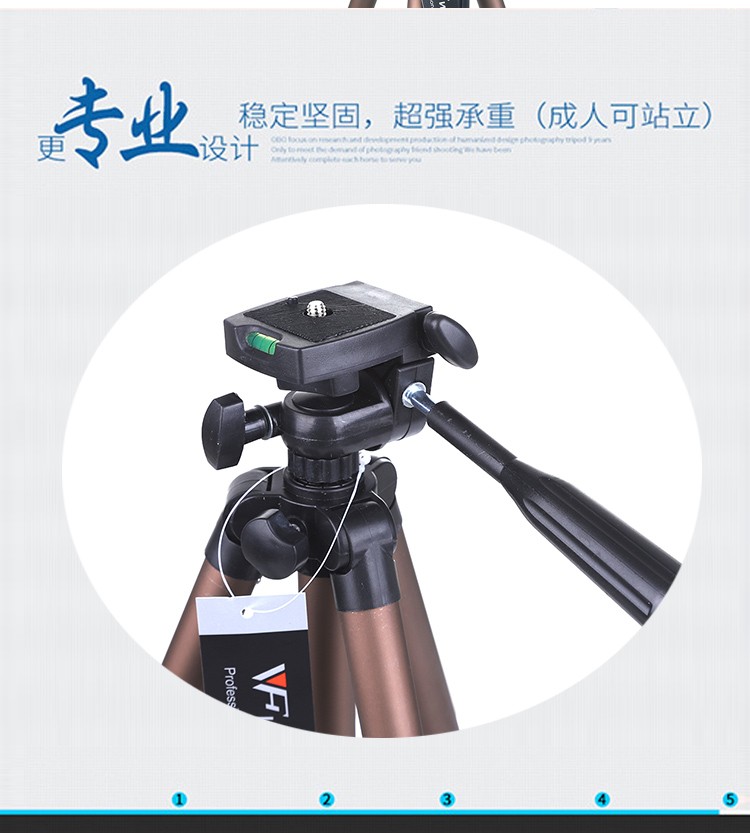 Weifeng 3130 [Four-section Aluminum Tube] Tripod Camera, Fishing Light Stand, Douyin Live Streaming Stand, wholesale Photography equipment detail image 12