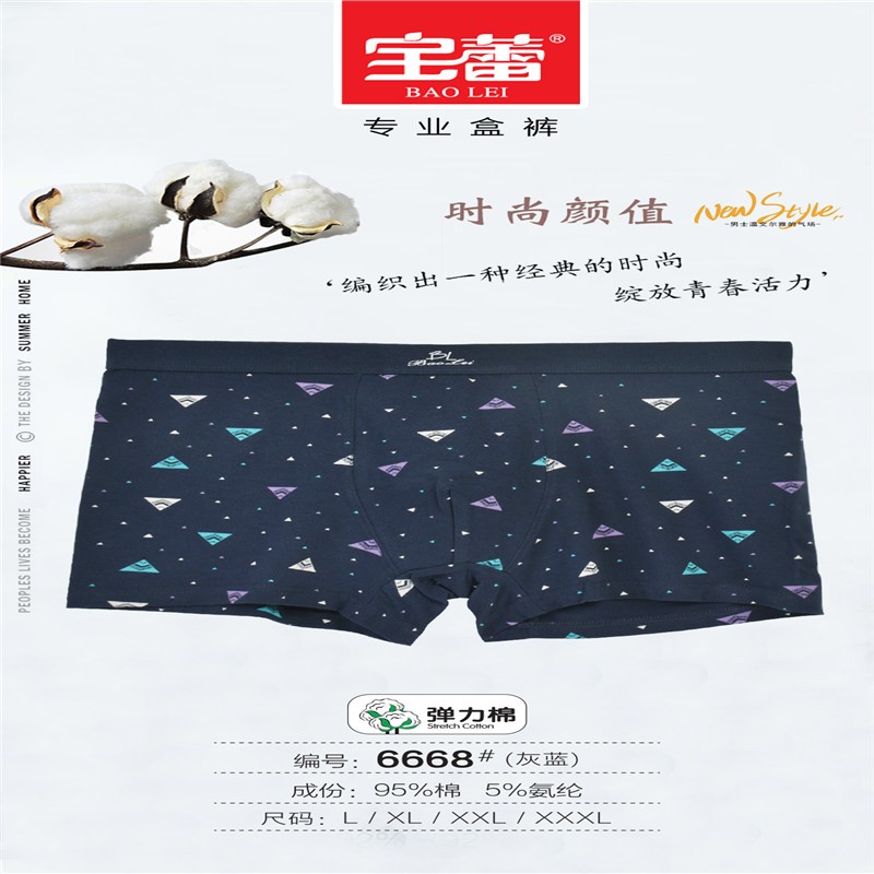 Bolei Men's printed Briefs, 2 pairs, 6668 detail image 2