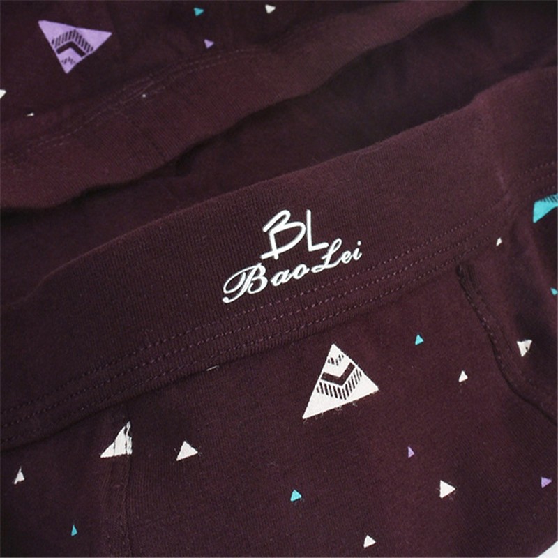 Bolei Men's printed Briefs, 2 pairs, 6668 detail image 8