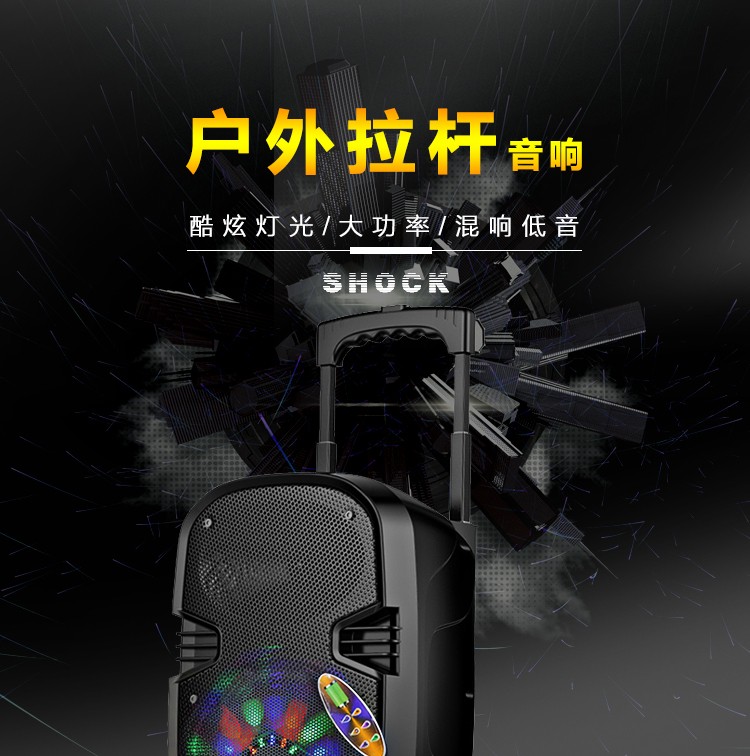 L08 8寸大功率蓝牙音响 带一支无线话筒 详情图1