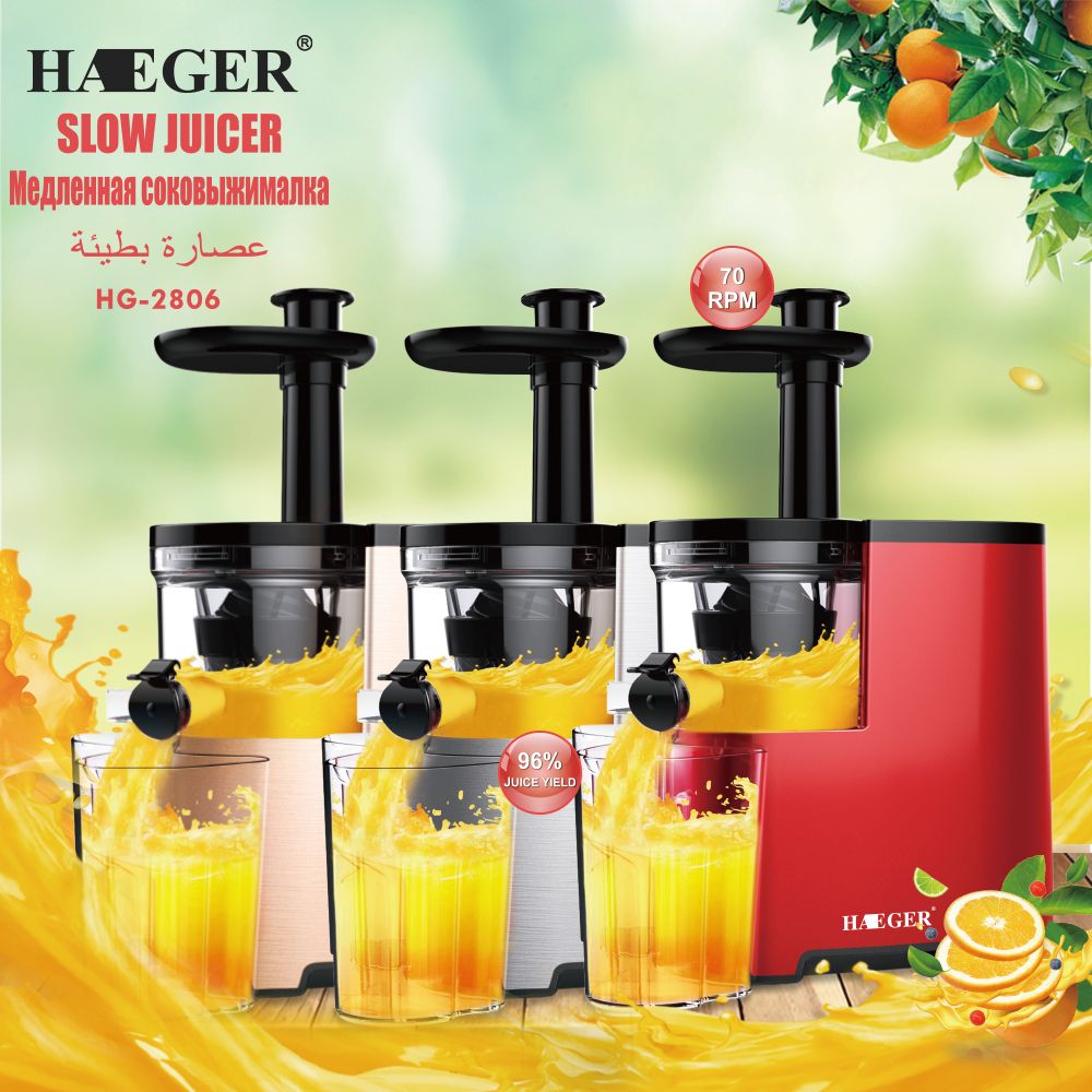 European regulation 1L multi-functional household electric fruit and vegetable juicer HG-2806