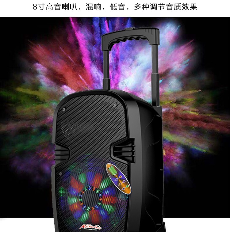 L08 8寸大功率蓝牙音响 带一支无线话筒 详情图7