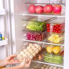 270冰箱收纳盒 带盖分隔高透长柄厨房食品级PET大容量果蔬储物盒