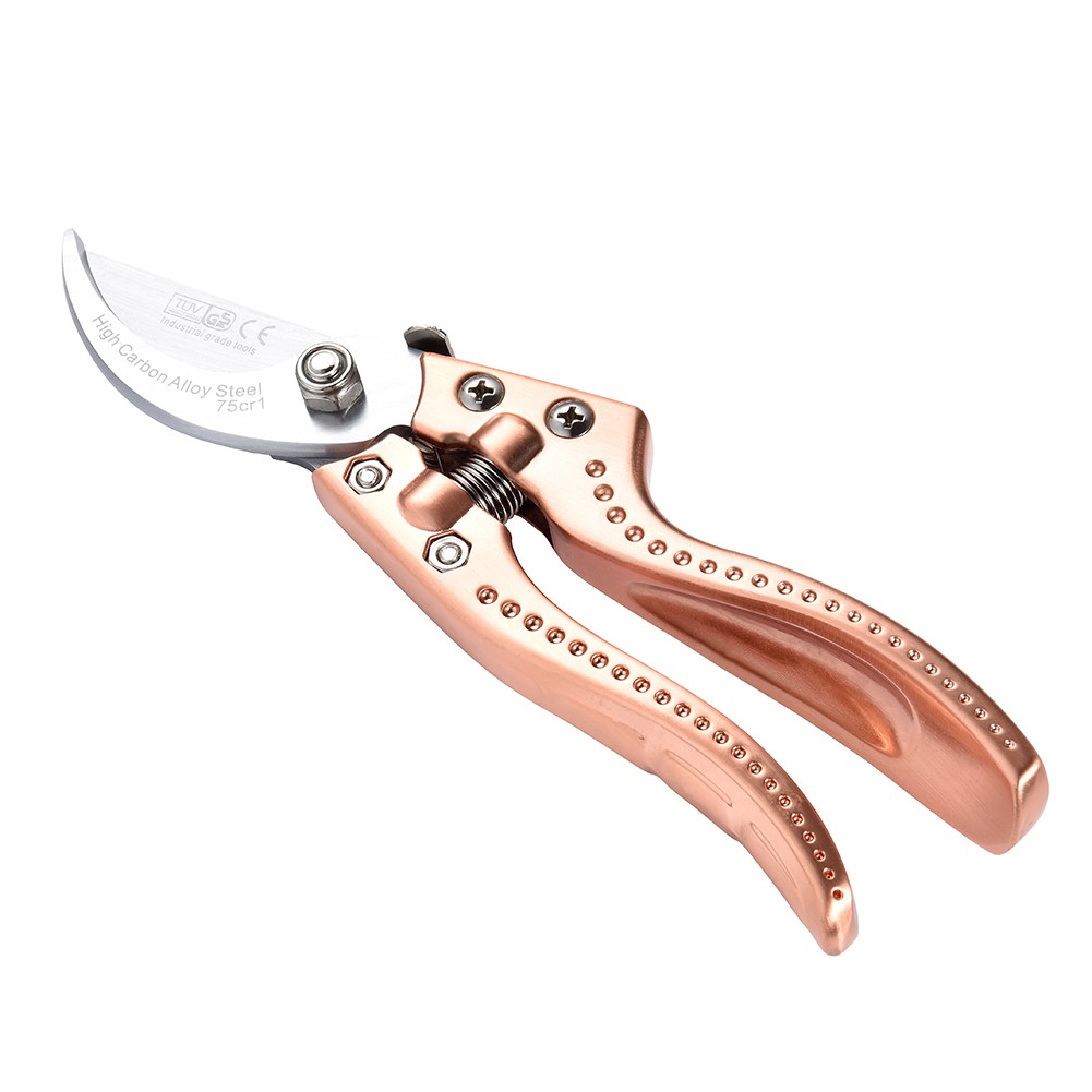 北京朝阳区高碑店乡:将实事办在“小”处