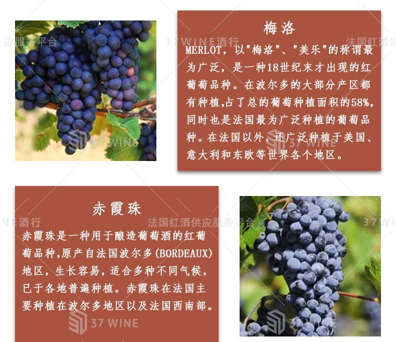 法国红酒 Château Canon La Forêt Vin Rouge 卡农森林酒庄红葡萄酒详情6