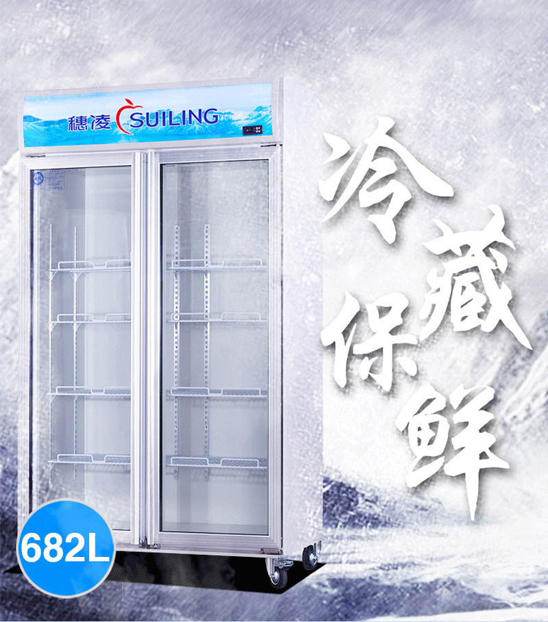 Suiling LG4-682M2F / 8821M2F single-temperature air-cooled unit floor-standing display refrigerator detail image 1
