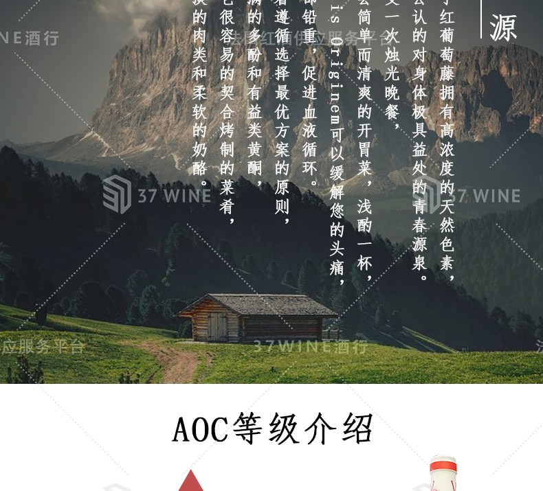 法国红酒 1.5L装 Vitis Originem Vin Rouge 萄源吕萨克圣艾美隆红葡萄酒详情图6