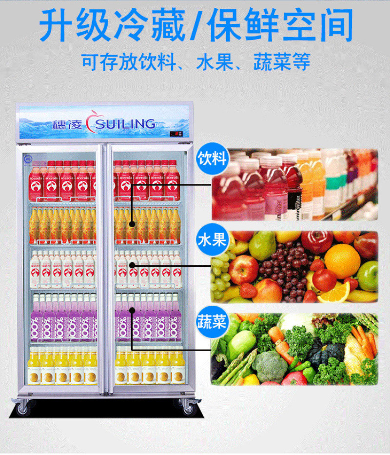 Suiling LG4-682M2F / 8821M2F single-temperature air-cooled unit floor-standing display refrigerator detail image 2