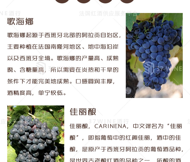 法国红酒 1.5L装 Vitis Originem Vin Rouge 萄源红葡萄酒详情5