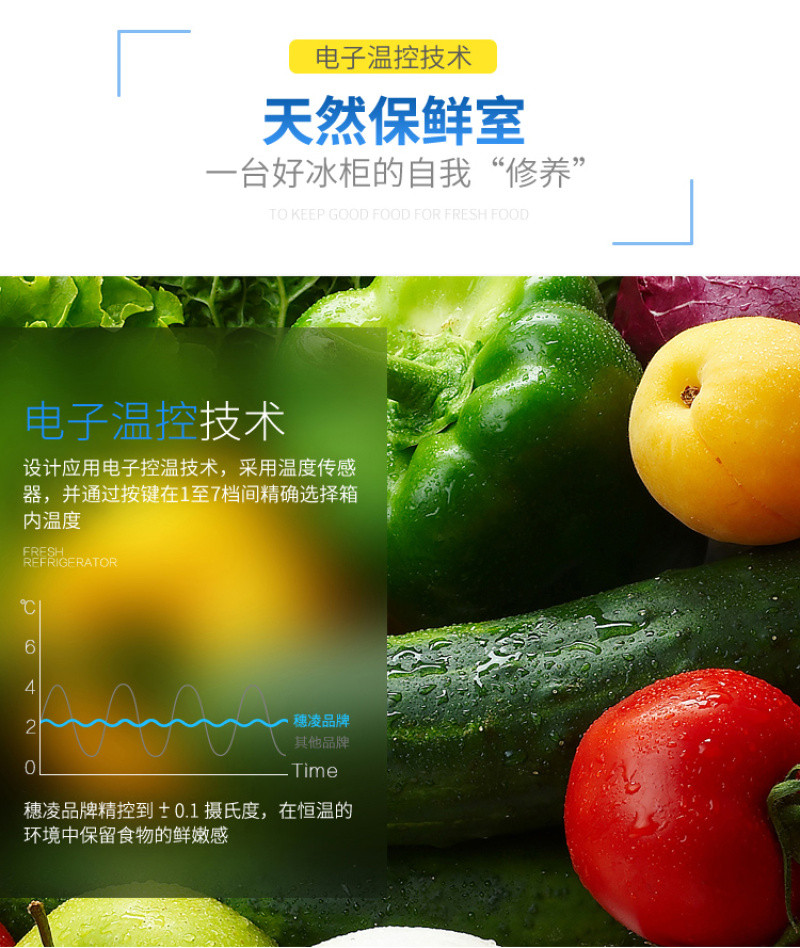 Suiling Refrigerator WG4-219DS / 249DS series countertop display cabinet with sliding glass door single-temperature cold storage detail image 2