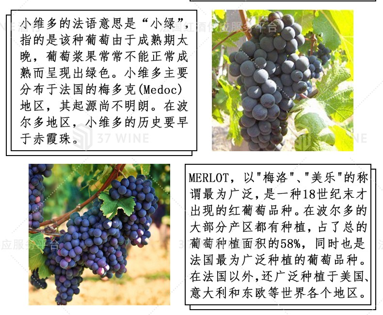法国红酒 1.5L装 Château L'Abbaye 阿贝耶酒庄«普利孟特瑞会»红葡萄酒详情图6