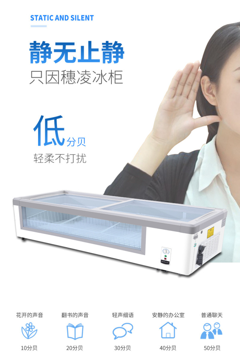 Suiling Refrigerator WG4-219DS / 249DS series countertop display cabinet with sliding glass door single-temperature cold storage detail image 3