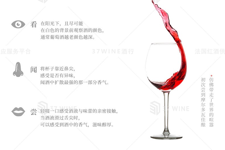 法国红酒 3L装 Château La Landeuille Vin Rouge 兰德耶酒庄红葡萄酒详情14