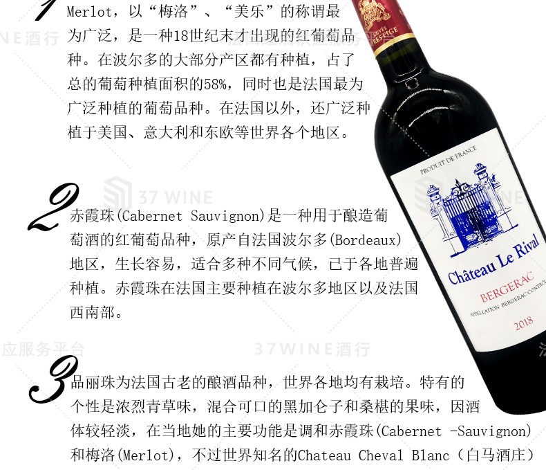 法国红酒 6L装 Château Le Rival Vin Rouge 劲敌酒庄红葡萄酒详情图5