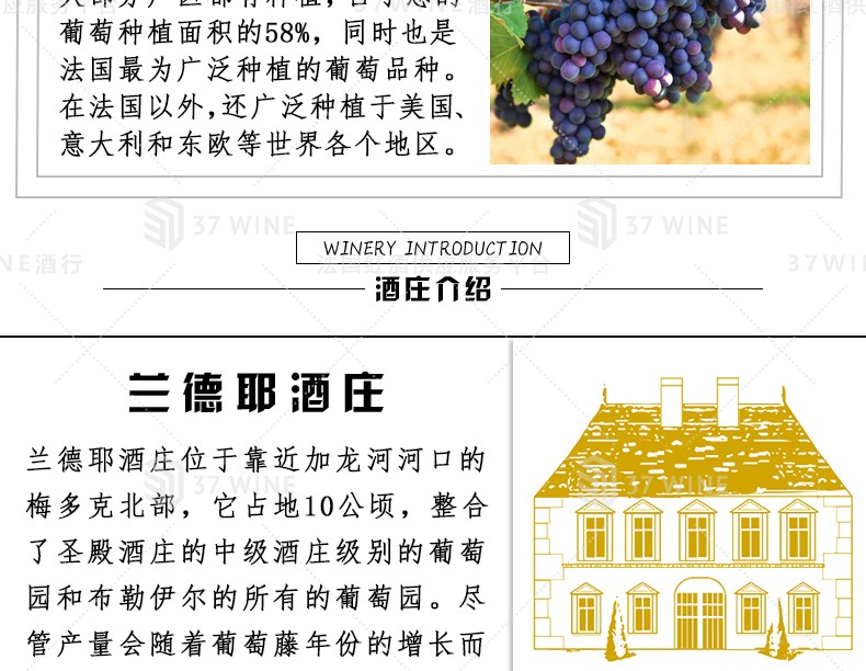 法国红酒 3L装 Château La Landeuille Vin Rouge 兰德耶酒庄红葡萄酒详情6