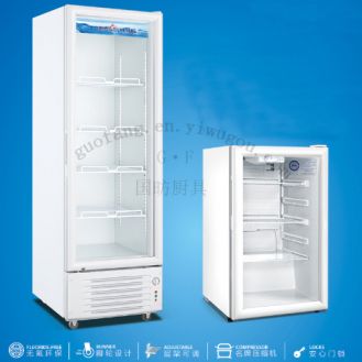 穗凌冰箱LG4-120\160无灯箱单温直冷冰箱 立式展示柜 冰箱