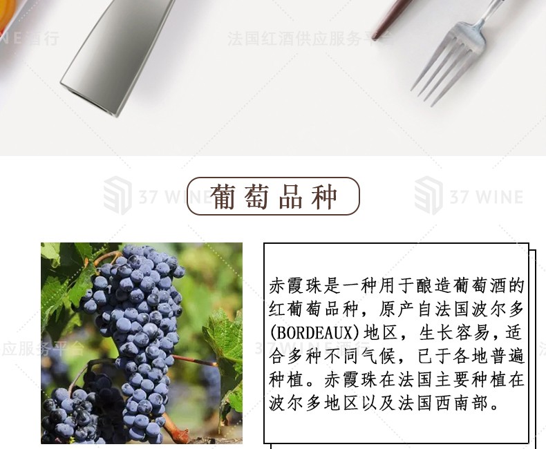 法国红酒 1.5L装 Château L'Abbaye 阿贝耶酒庄«普利孟特瑞会»红葡萄酒详情图5