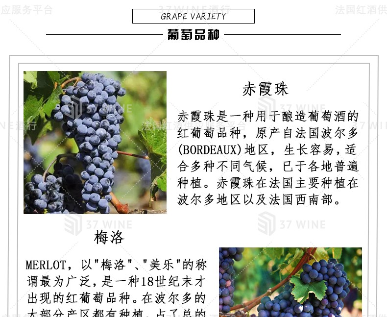 法国红酒 3L装 Château La Landeuille Vin Rouge 兰德耶酒庄红葡萄酒详情5