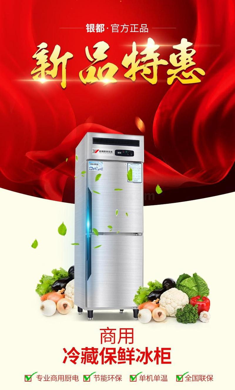 Yindu two-door vertical single-temperature refrigerator, double-door freezer, commercial refrigerator, refrigeration and preservation, kitchen special detail image 1