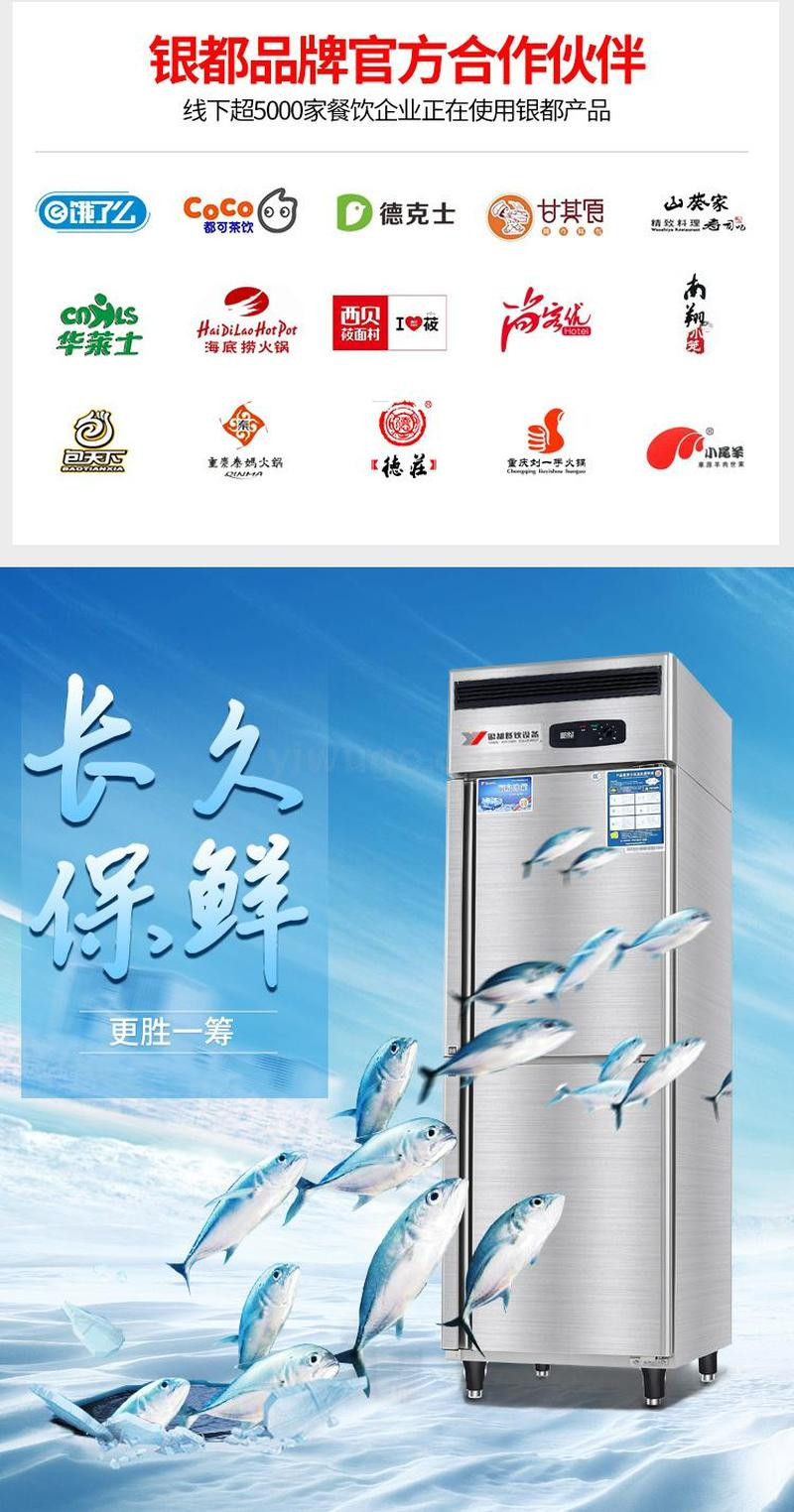 Yindu two-door vertical single-temperature refrigerator, double-door freezer, commercial refrigerator, refrigeration and preservation, kitchen special detail image 7