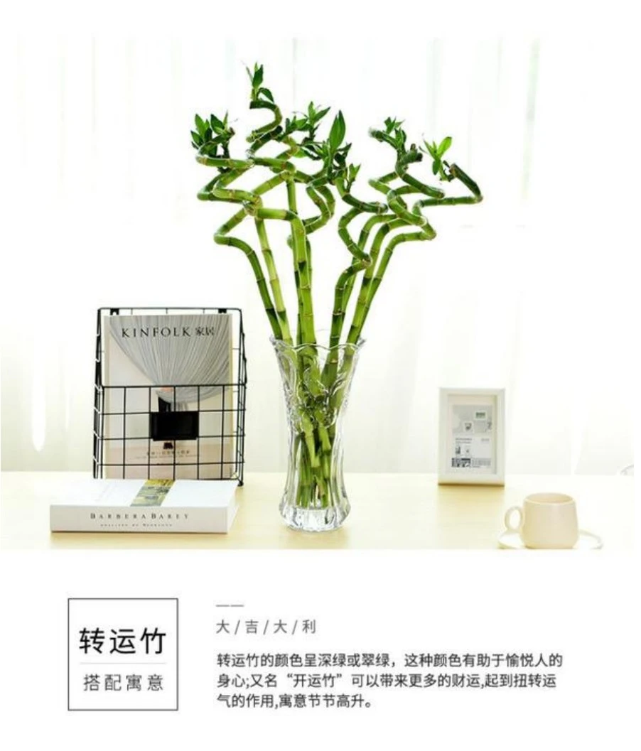 Vase ornaments, simple living room flower arrangements, large-sized lilies, lucky bamboo, hydroponic dried flowers, transparent glass bottles for home use detail image 1