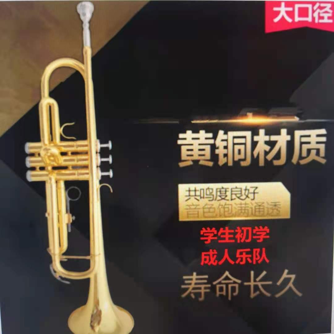 乐器西洋铜管成人乐队演奏漆金小号学生初学降B调小号详情图1