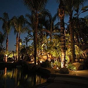 太阳能七彩草坪详情图7