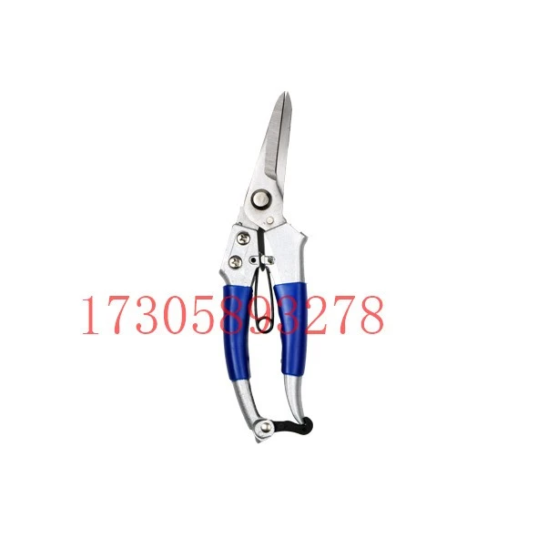 YYJ20 Red handle Flower branch Shears and garden shears detail image 9