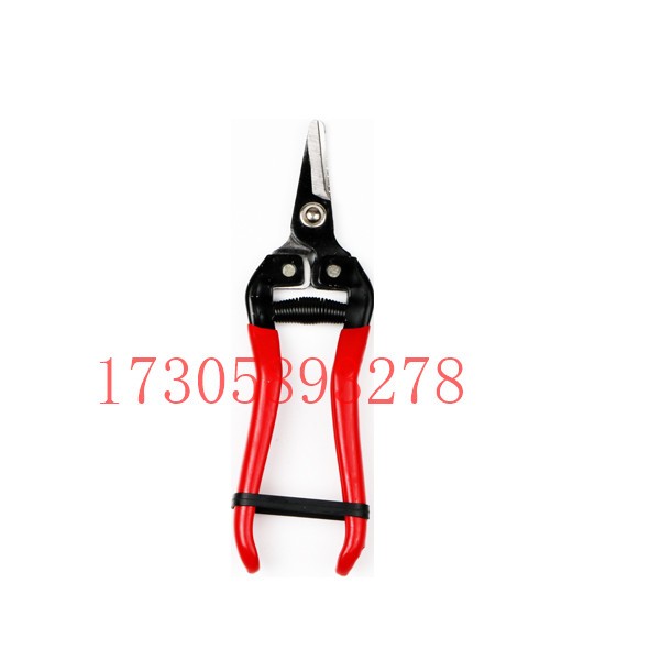 YYJ31A red handle quenched 7.5-inch garden pruner for flower branches detail image 15
