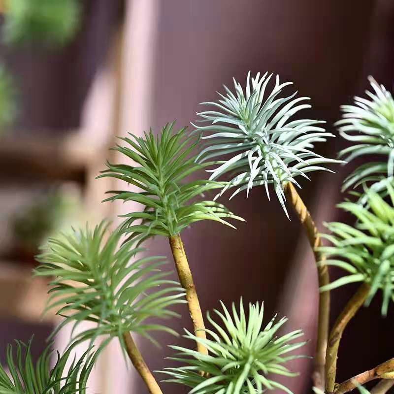 绿植多肉/仿真花/家居装饰白底实物图