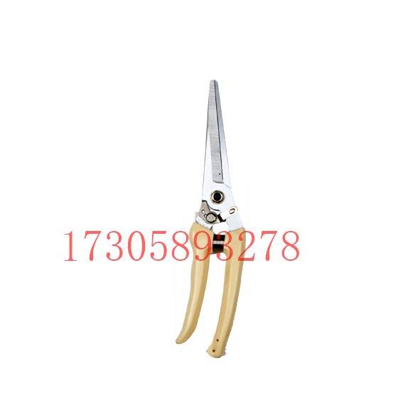 YYJ40A white handle extra-long chrome-plated garden pruner for flower branches detail image 17
