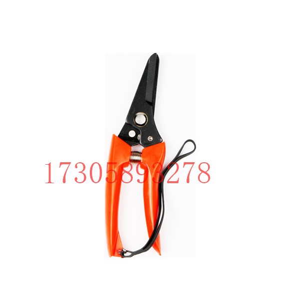 YYJ38A white handle 8-inch straight blade head garden pruner, chrome-plated/unchrome-plated detail image 12