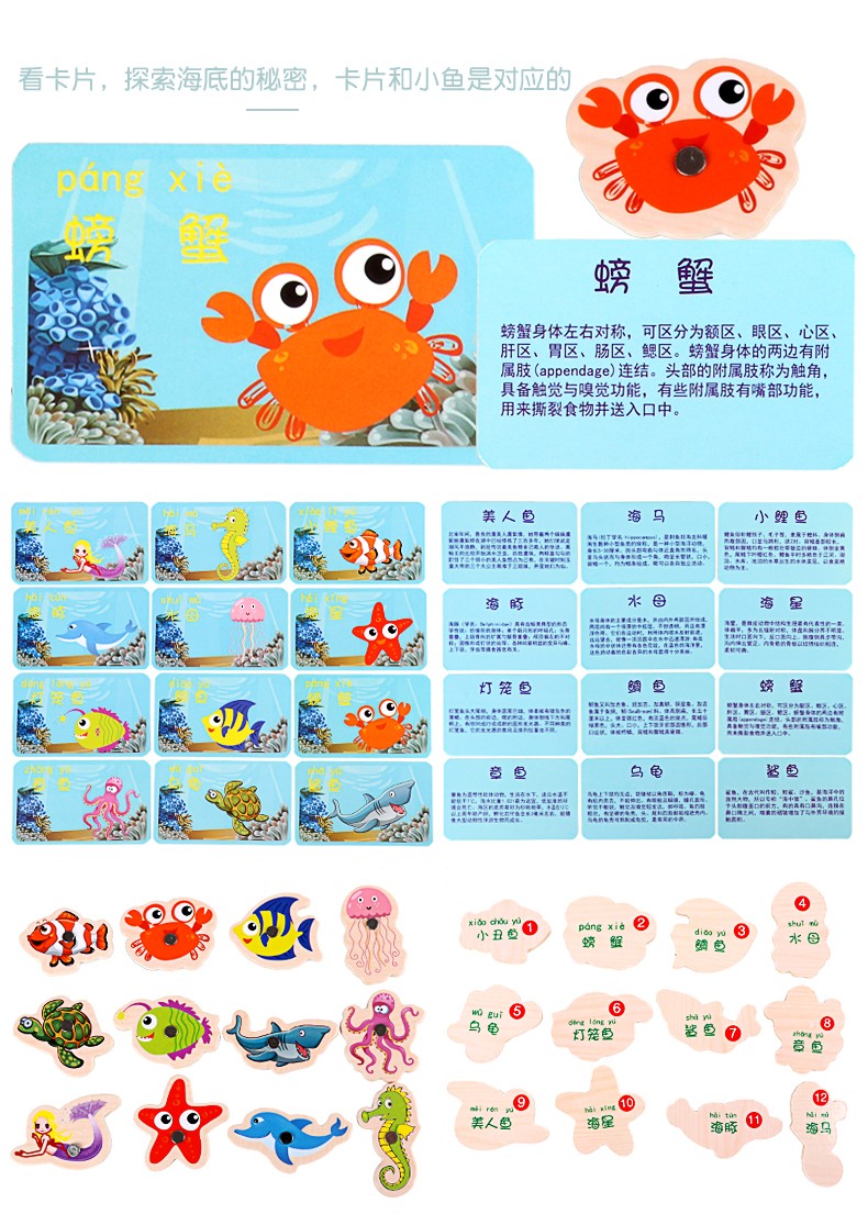 The wooden educational toy Ocean World fishing game is highly entertaining and colorful. It can cultivate logical thinking ability and exercise hand-eye coordination. It is a parent-child game for early education and enlightenment training detail image 6