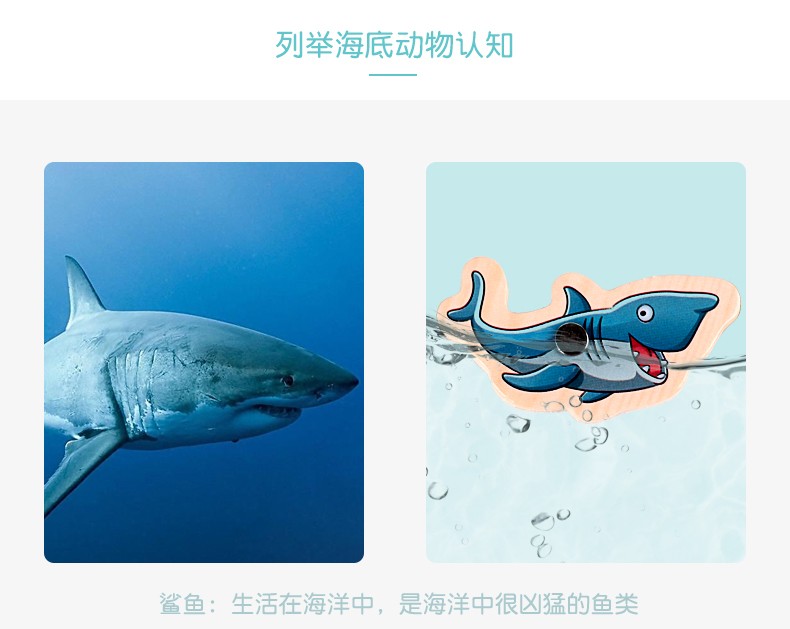 The wooden educational toy Ocean World fishing game is highly entertaining and colorful. It can cultivate logical thinking ability and exercise hand-eye coordination. It is a parent-child game for early education and enlightenment training detail image 7