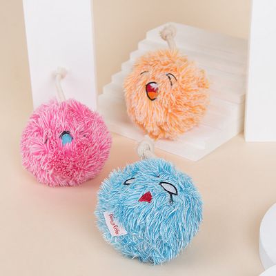 Pet toy manufacturers new bite interactive dog toy long hair BB called plush dog toy wholesale Specification drawing