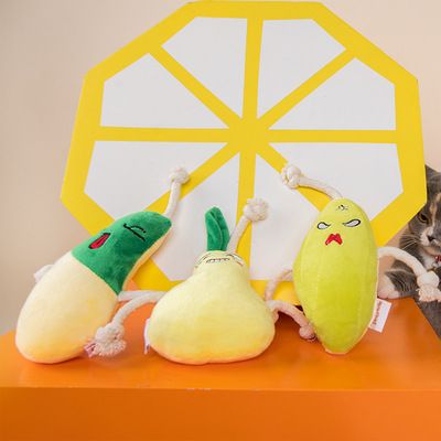 Pet toy manufacturers new bite interactive dog toys long rope fruit pet toy dog toys in stock Application Scenario