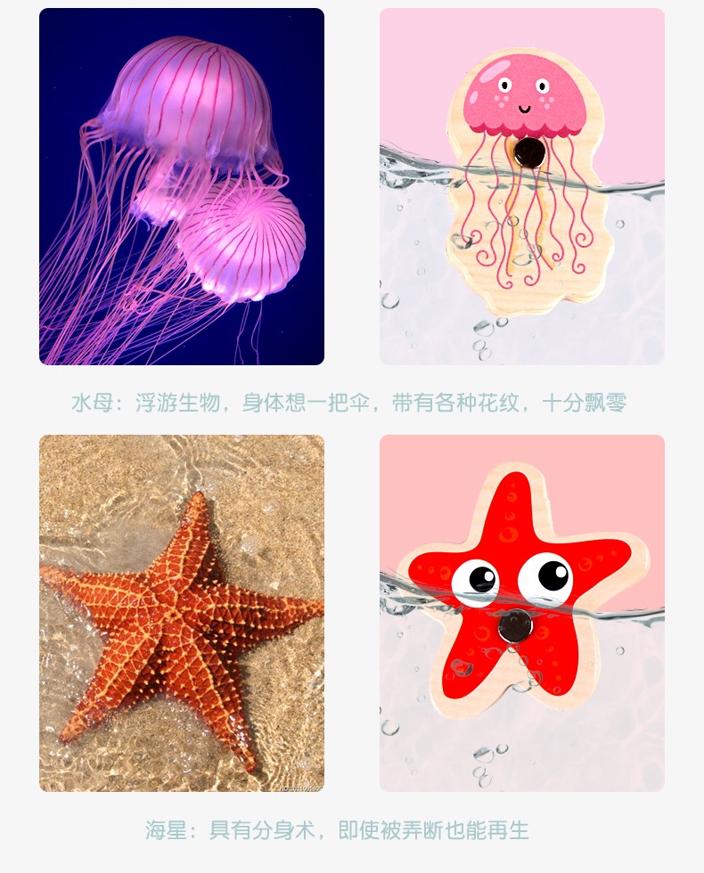 The wooden educational toy Ocean World fishing game is highly entertaining and colorful. It can cultivate logical thinking ability and exercise hand-eye coordination. It is a parent-child game for early education and enlightenment training detail image 8