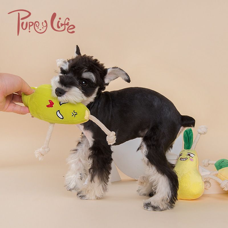 Pet toy manufacturers new bite interactive dog toys long rope fruit pet toy dog toys in stock details Picture