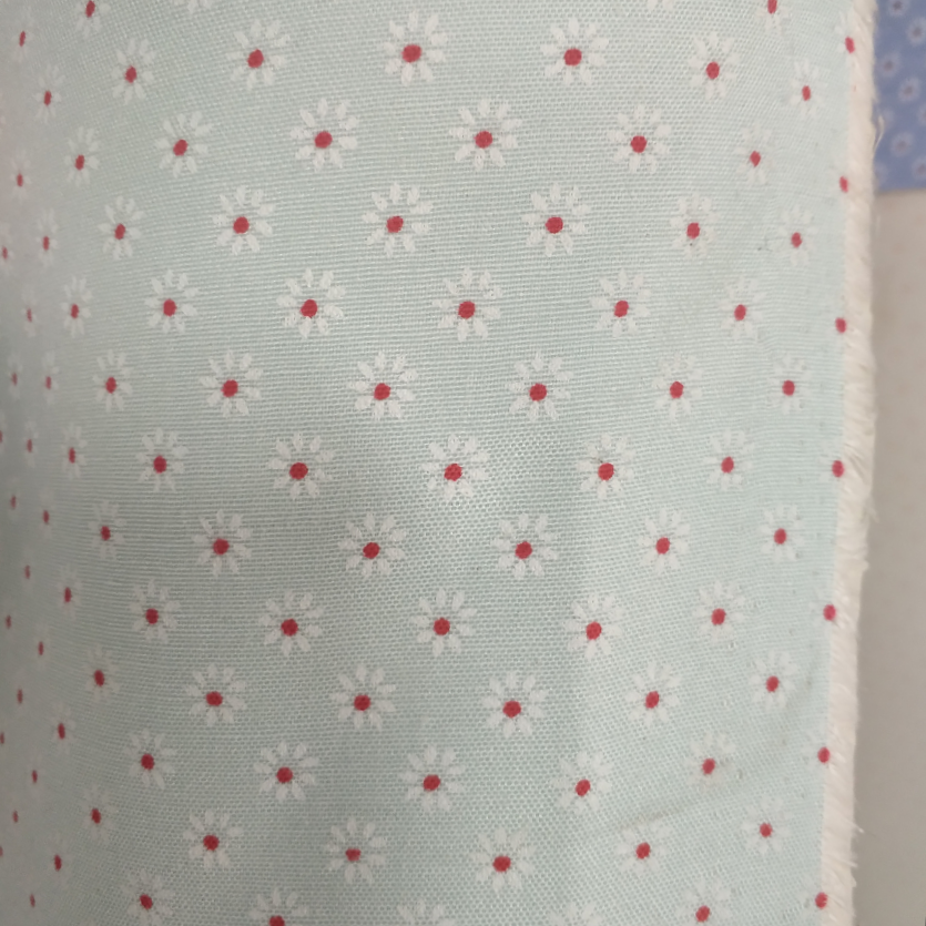 布纹太阳花，湖兰