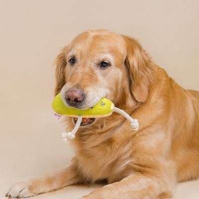 Pet toy manufacturers new bite interactive dog toys long rope fruit pet toy dog toys in stock full figure