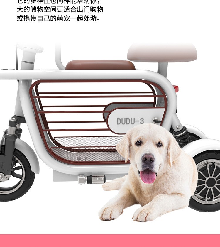 家用休闲小型电动三轮车详情图4
