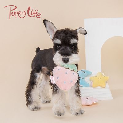 Pet toy manufacturers new bite interactive dog toy fruit star combination plush dog toy wholesale Specification drawing