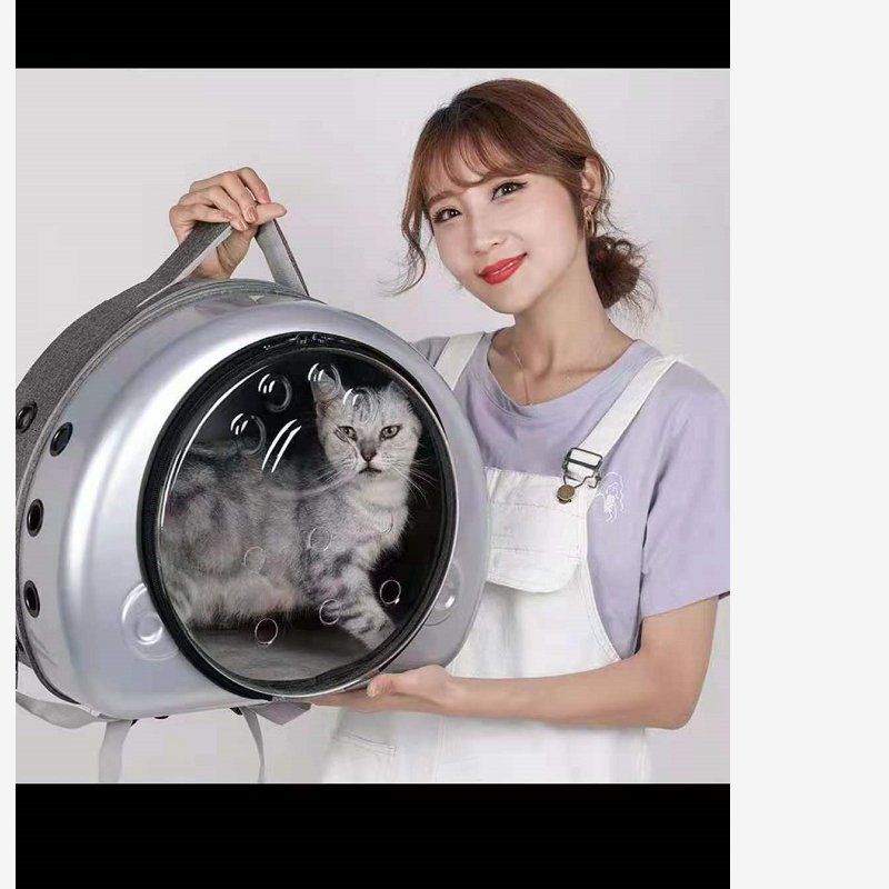 Pet backpacks