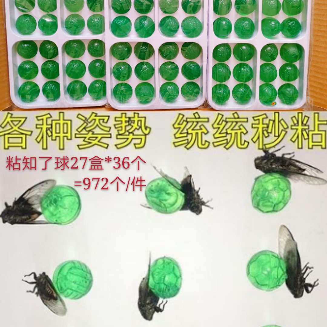 各种姿势，统统秒粘，粘知了球