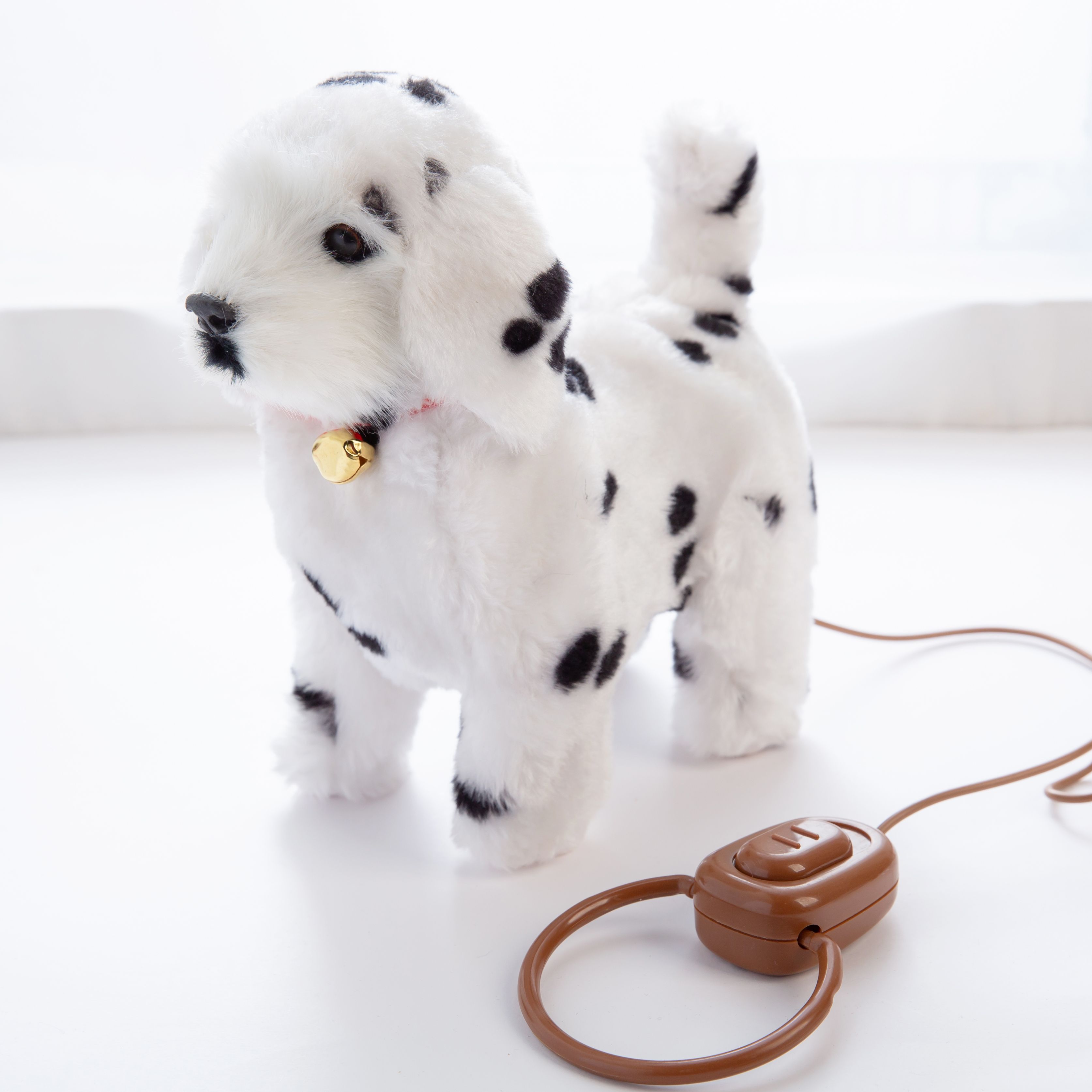 A dog that walks back and forth with its tail moving and to music Application Scenario