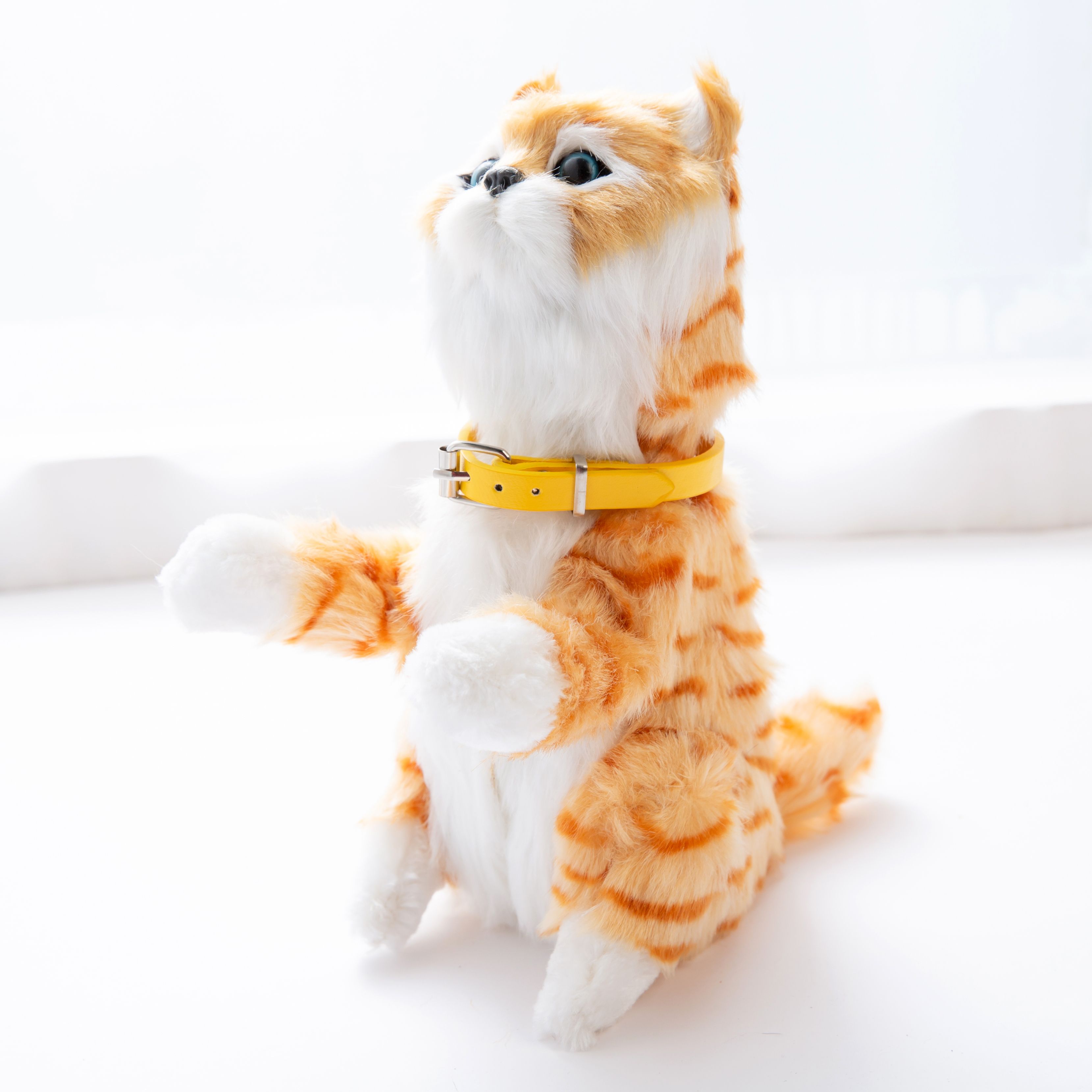 A cat that senses music, a cat wagging its tail, an animal cat Specification image