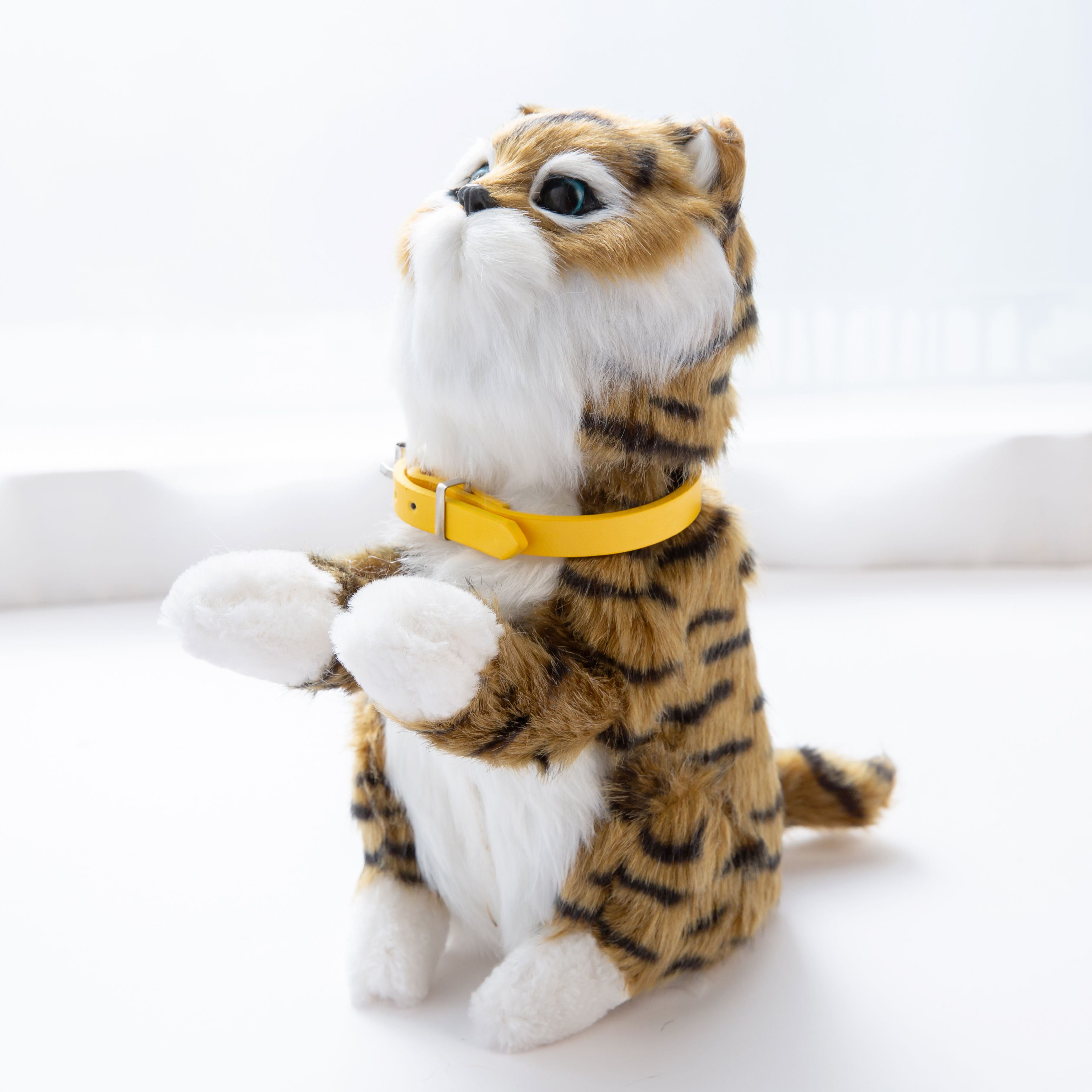 A cat that senses music, a cat wagging its tail, an animal cat details Picture