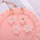 磨砂花，胜标塑料饰品配件，E2515433图
